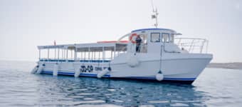  Babella II