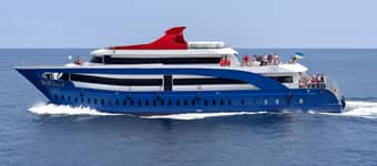 Royal Jet Cruiser 7
