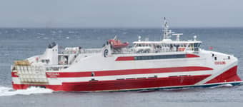 Ilida Dolphin